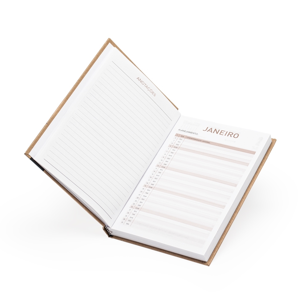 AGENDA DIÁRIA 2025