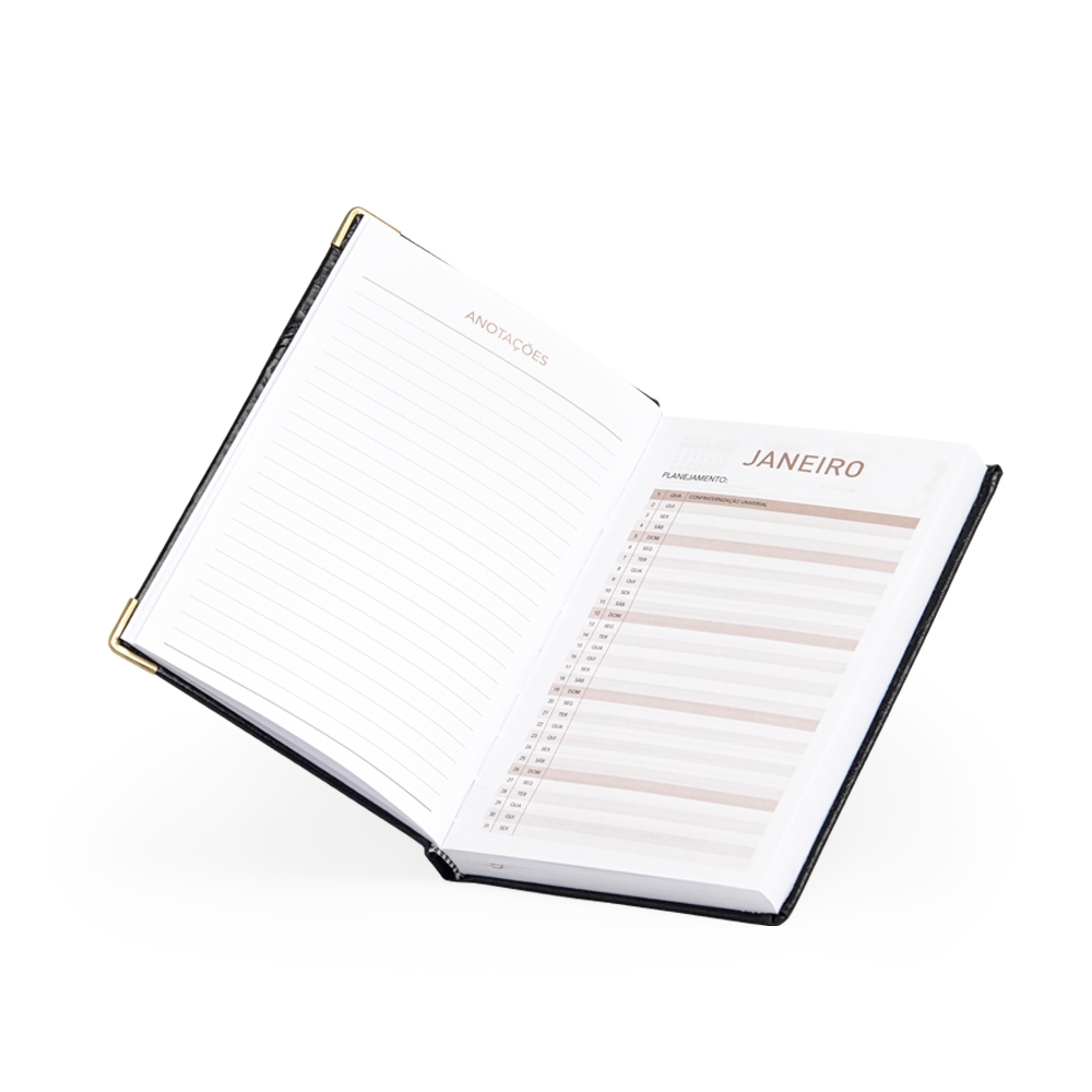 AGENDA DIÁRIA 2025