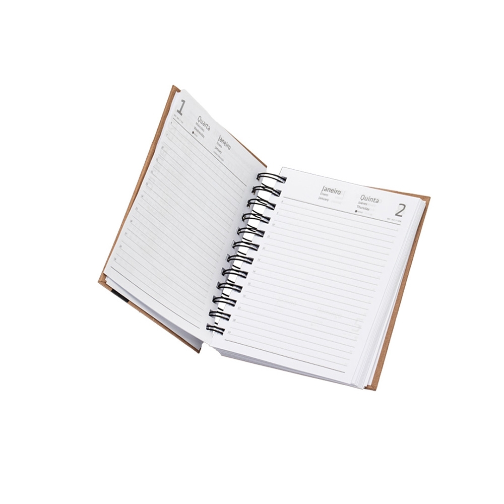 AGENDA DIÁRIA 2025